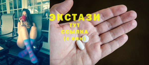 молекула духа Богородицк