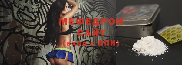 молекула духа Богородицк