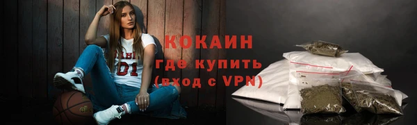 молекула духа Богородицк