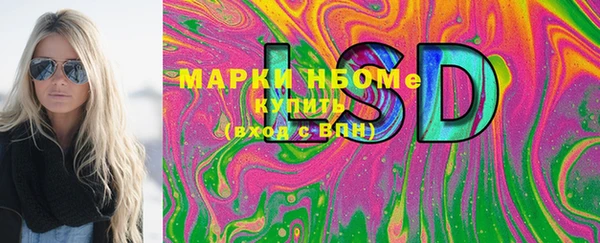 молекула духа Богородицк